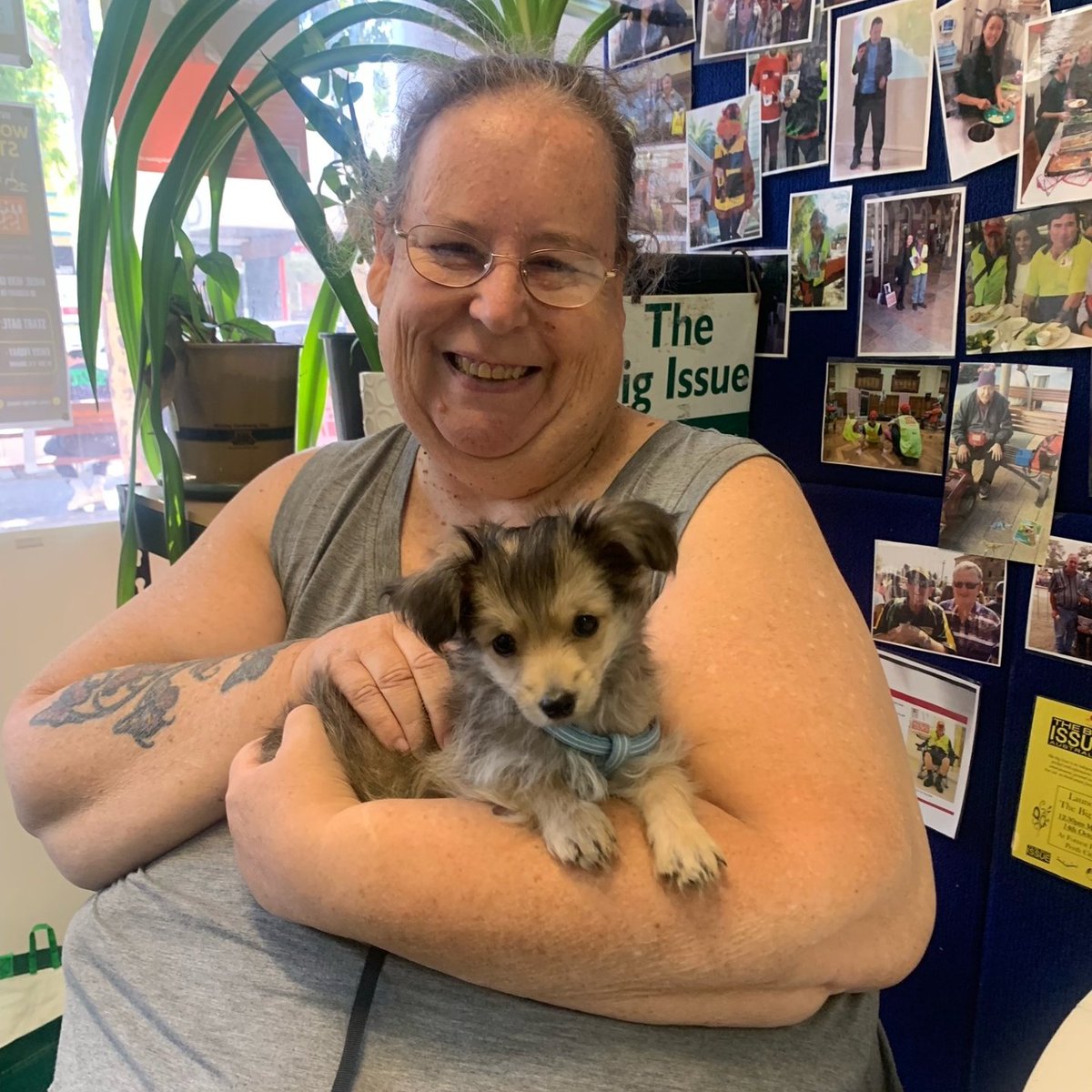 Meet our latest vendor in training, Pistachio! 💚 🐶 We can't wait until Pistachio joins his mum Caroline out on pitch. Until then you can visit Caroline for a magazine at London Court in Perth.