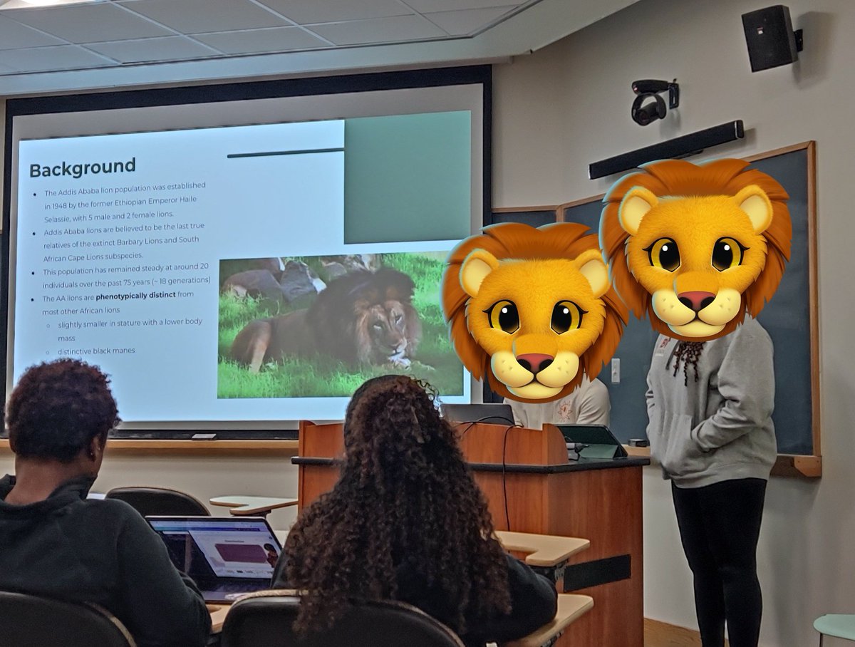 Jazpy3's tweet image. Orgulloso e impresionado de 2 estudiantes que consiguieron genomas de leones de verdad para su proyecto final