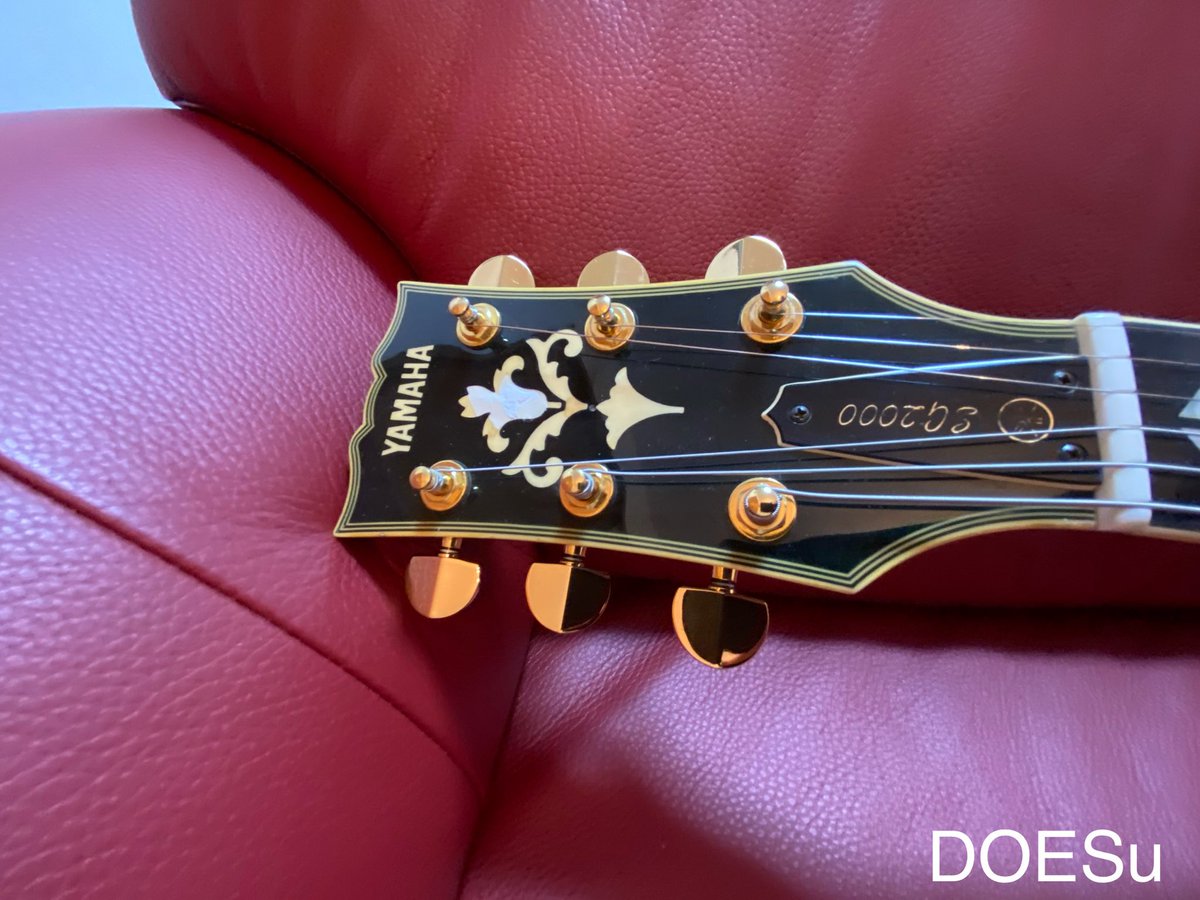 PrsDragon46877's tweet photo. どいつもこいつも不動産のオーナーは欲の塊😂😂😂
YAMAHA SG2000
#ギター把握用
#DOESu
#機材売ります https://t.co/uqlzCU2abD