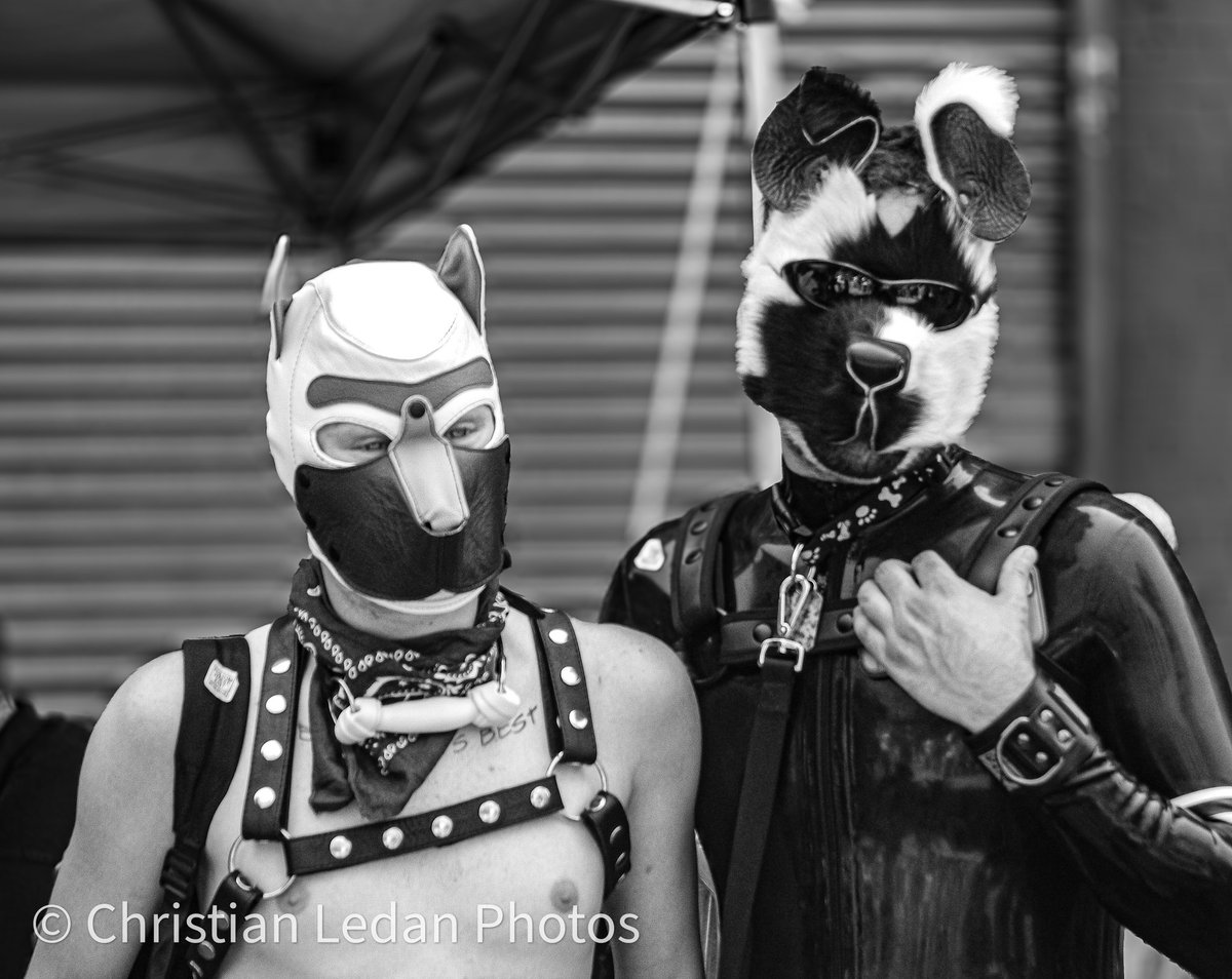 Bow Wow
2016

#pup #training #bdsm #roleplay #christianledanphotos #photography #fotografia #teamcanon #bnw #bnwphotography #blackandwhite #blackandwhitephotography #portraitphotography #portraiture #portrait #bnwportrait