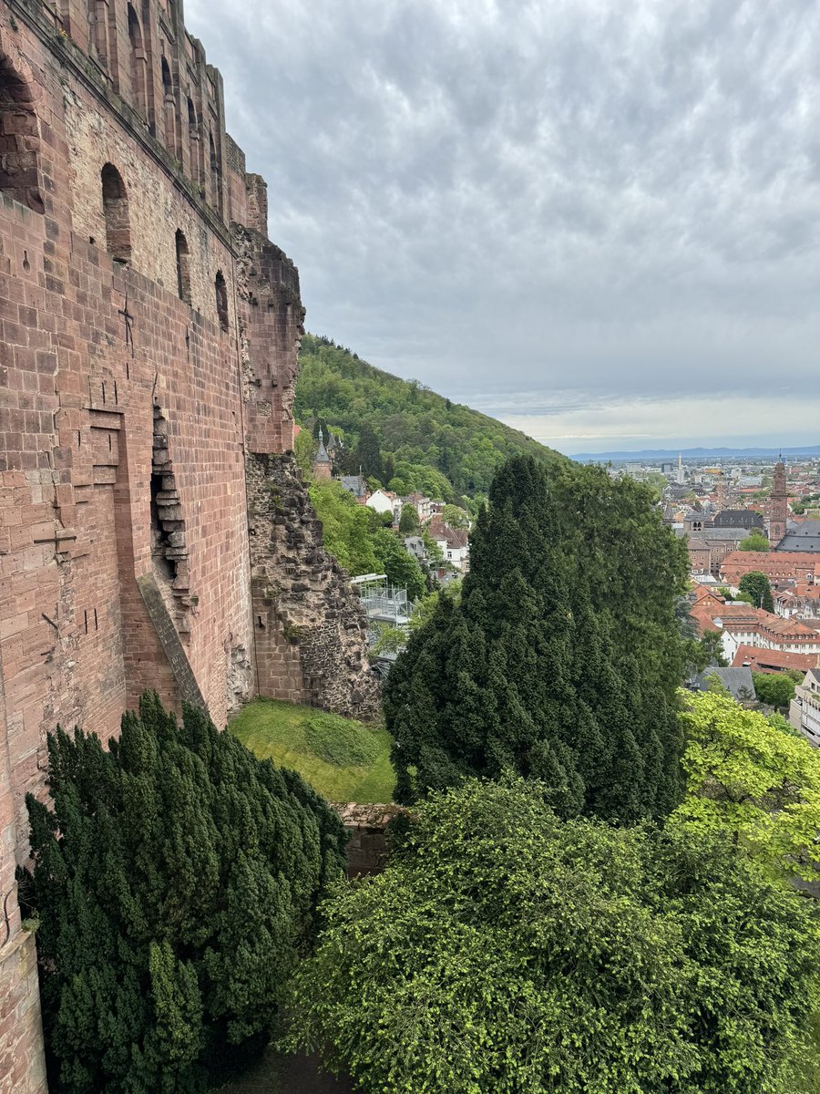 2日目ハイデルベルク(Heidelberg)お城🏰
長い歴史と戦場の跡が残ってました