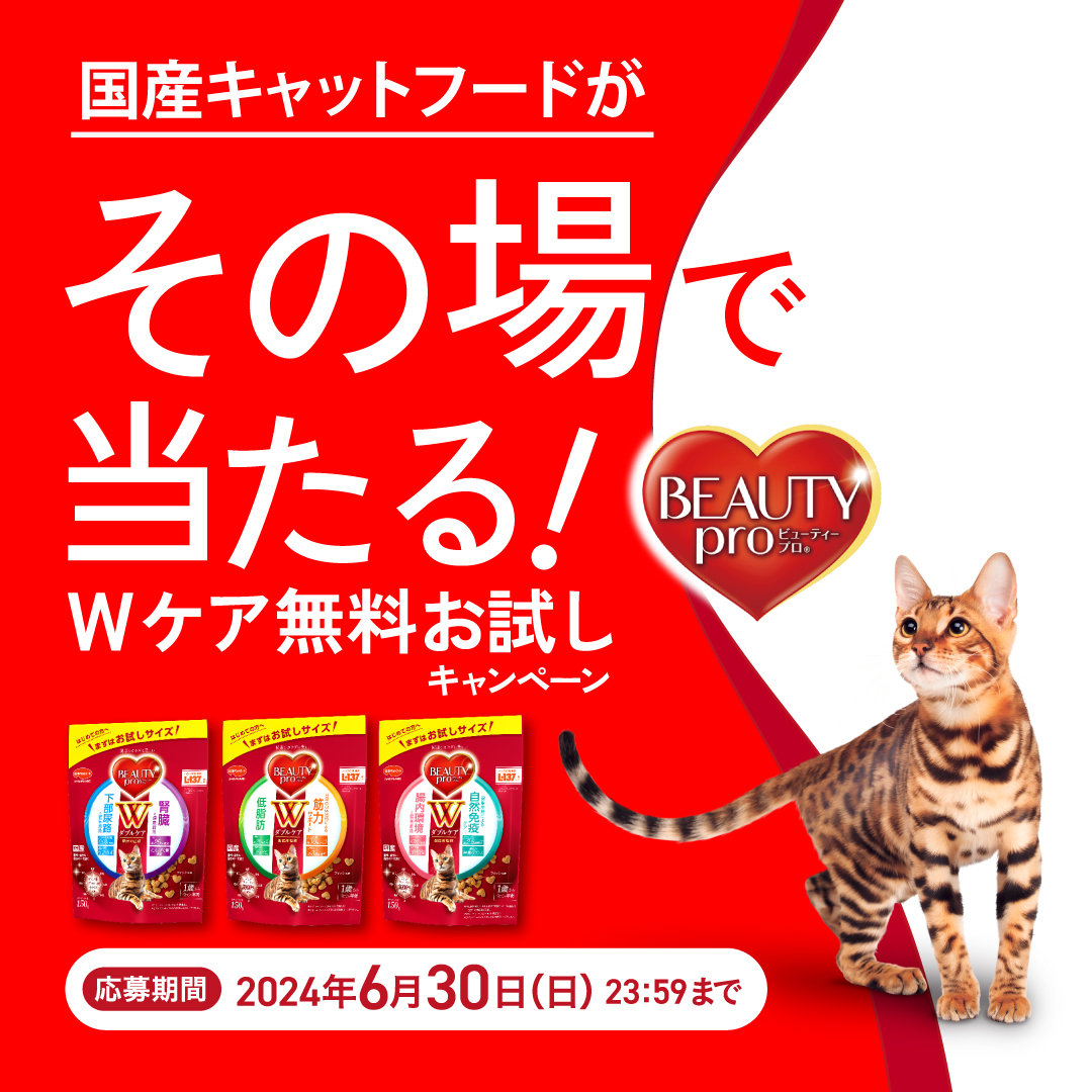 ＼国産フードの新商品が その場で当たる／ 本日からキャンペーンスタート🐈✨ 愛猫の健康をWでサポート！ この機会にお試しください❤️ 🌟応募方法🌟 ❶bp-2024-05cp.com 　にアクセス！👆 ❷希望のコースを選んでくじに参加 #ビューティープロ #日本ペットフード