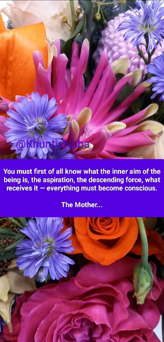 You must first of all know what the inner aim of the being is, the aspiration, the descending force, what receives it — everything must become conscious.

The Mother...

#SriAurobindo
#TheMother