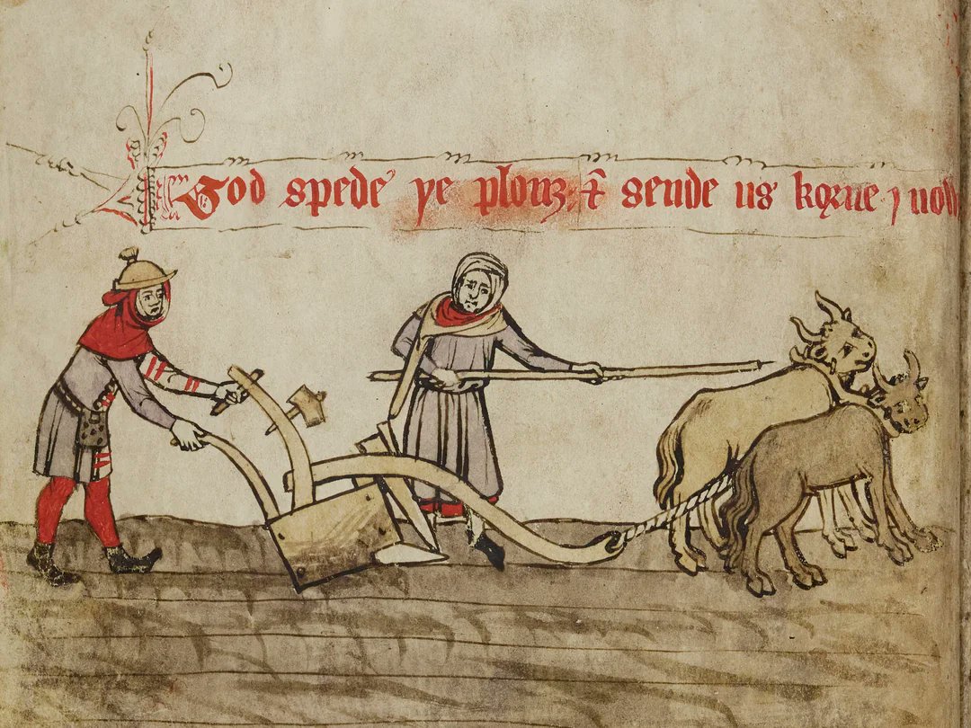 #MedievalTwitter 14th-century copy of 'Piers Plowman,' captioned 'God speed the plow and send us corn enough.' Love the expressions on the oxens' face. 😊 mss-cat.trin.cam.ac.uk/Manuscript/R.3…