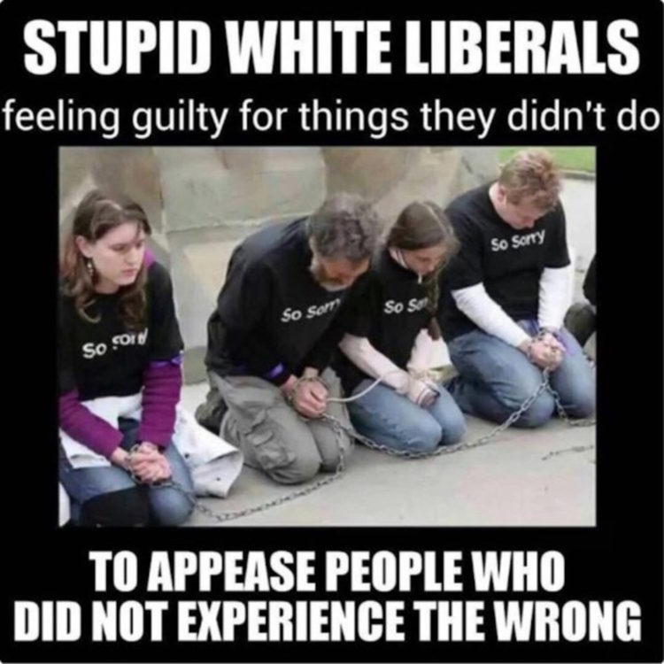 White liberals are thee dumbest and most racist people to ever walk the planet.