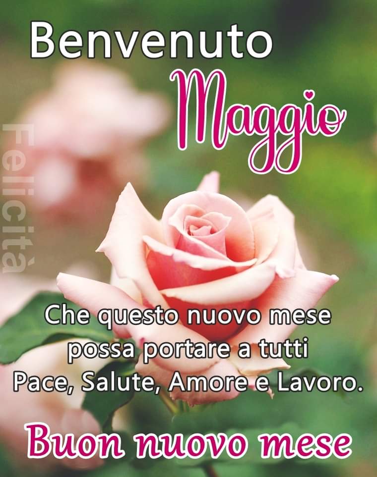 @Rebeka80721106 @DonatoMarinelli @Dida_ti @DavLucia @albertopetro2 @CasaLettori @redne2013 @SalaLettura @Mercurimc @sorridicncausa @672Cilia @CarmelaCusmai @Sensibilia8 @PasqualeTotaro @SimonaMascaro64 @BrindusaB1 @AntonellaLaTor6 @lagatta4739 @GerberArancio @gigliointi @tafudany1 @Dedalus12470353 @sonlello Buongiorno 🪷🌻🌹☕🌞🍀🙋🏻