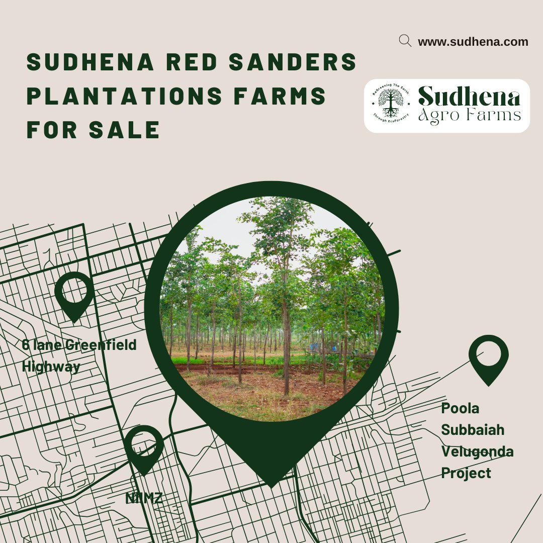 Sudhena Red Sanders Plantation Farms for sale at Kanigiri. for details please visit us sudhena.com #SudhenaAgroFarms #RedsandalWood #BestInvestment #KanigiriFarmLands #sudhenaagrofarms