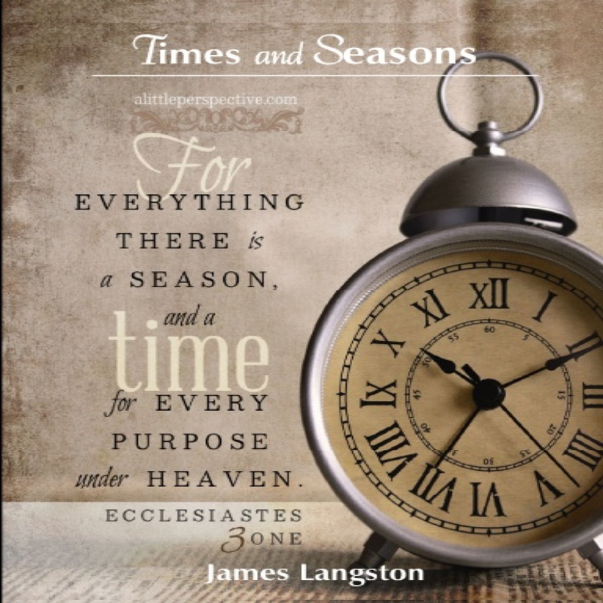 'Times and Seasons' (Book Preview/James Langston) [zurl.co/X5kU] Every moment holds a purpose in life's grand tapestry. #Inspiration #Motivation #Life'sRhythms #BookTeaser #SeizeTheMoment #ConsequencesOfChoice