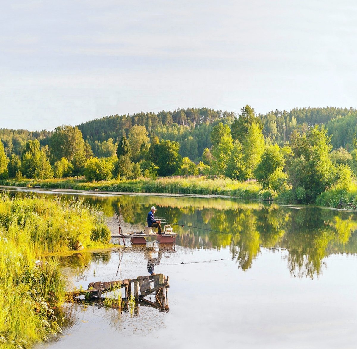 Лето... Лето... Сколько хорошего и теплого в одном только слове. Летом вся природа живет в полную силу. Надоела серость, хочу ЛЕТО !  А фото моё.