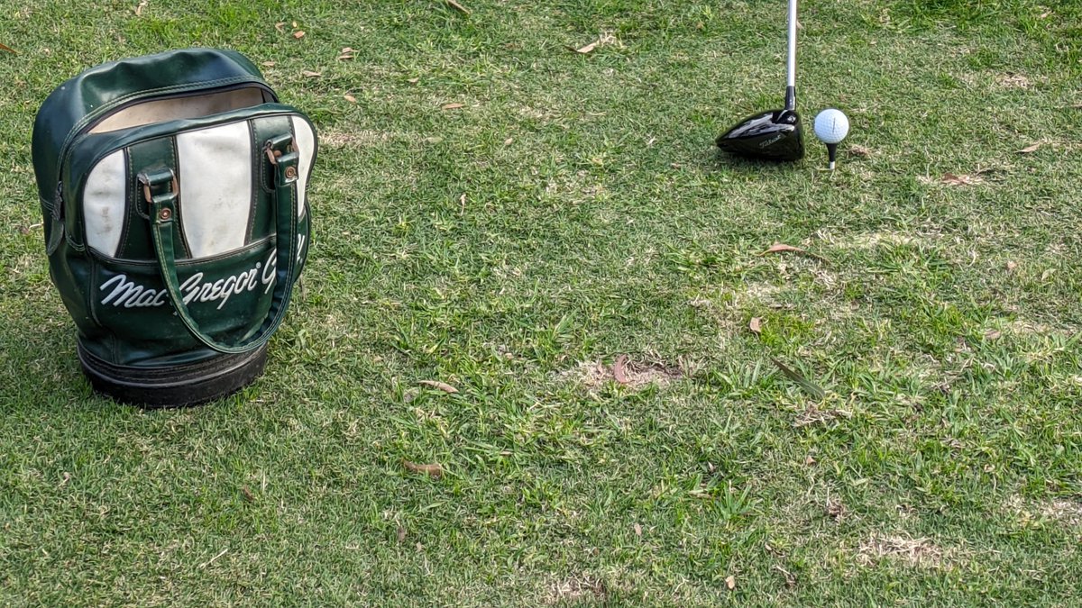 Sandy Jamieson tweet media