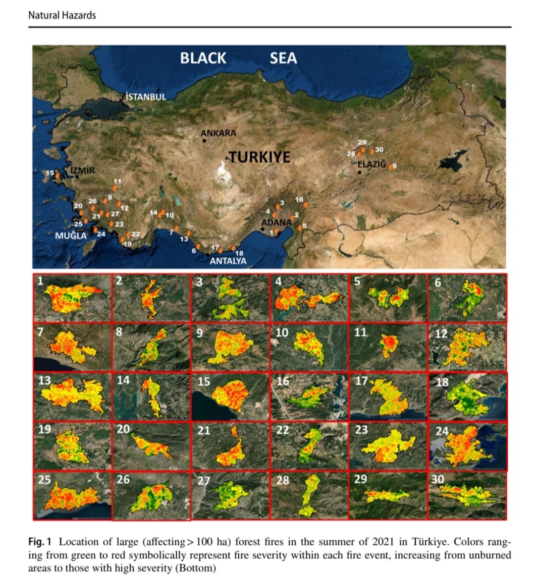 Remote sensing and GIS-based inventory and analysis of the unprecedented 2021 forest fires🔥 in Türkiye’s 🇹🇷 history  preventionweb.net/quick/84838