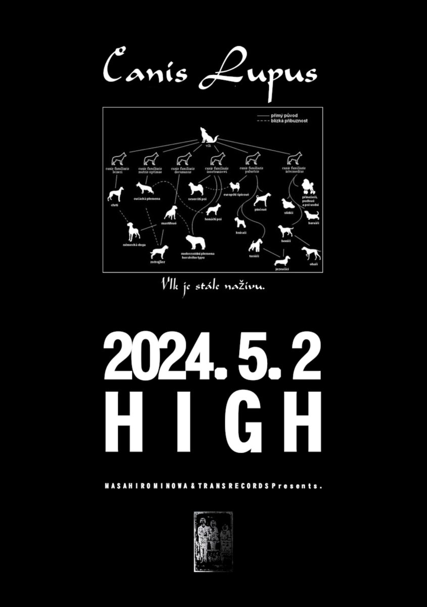Canis Lupus東京公演は明日開催！前売チケットは本日18時まで購入可能です。 Vlk je stále naživu. 5/2 (thu) KOENJI HIGH open/start 19:00/19:30 adv/door 4000円/4500円+別途1D代 -Live- Canis Lupus 箕輪政博 (Ds) 森川誠一郎 (Ba&Vo) ヤマジカズヒデ (Gt) -Ticket- eplus.jp/sf/detail/4033…