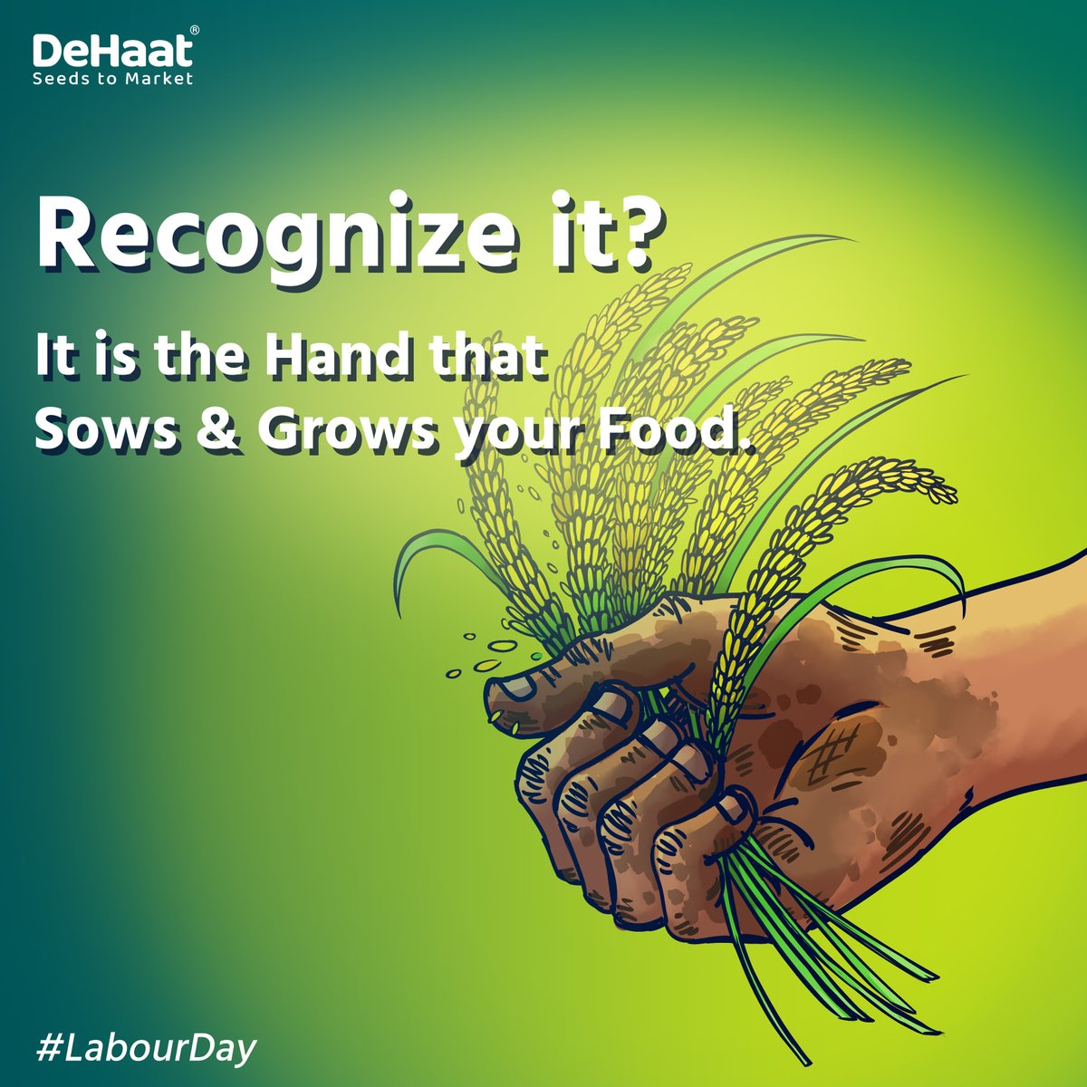 DeHaatTM's tweet photo. Acknowledging the farm labourers &amp; their dedication. On this Labour Day, we salute the unsung heroes of our fields - the diligent growers whose hands toil tirelessly to feed us.

#labourday #farmlabour #hardwork #farmers #heroes https://t.co/MKo9aJ9lg3