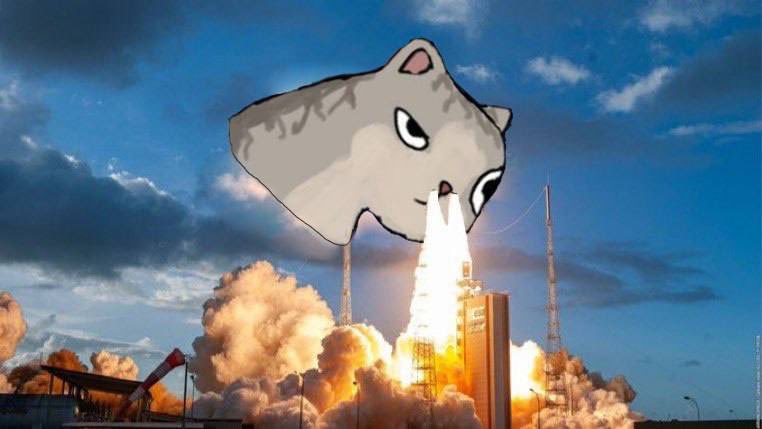 @dropslemons @pumpdotfun @BodensCat My guy, LFG 🔥

Let’s send this kitty past Pluto @BodensCat