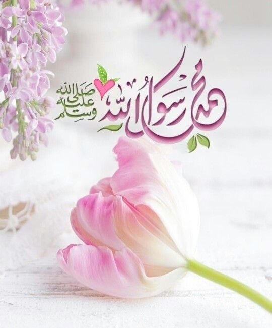 ﷽
السلام علیکم🌹 
⁧#خاتم_النبیین_محمدﷺّ⁩
پر ⁧#درود_وسلام⁩

اے میرے رب!مجھے توفیق بخش کہ میں تیری نعمت کا شکر اداکروں جو تونے مجھ پر اور میرے ماں باپ پر کی اور ایسے نیک اعمال بجالاؤں جو تجھے پسند ہوں۔اور مجھےاپنی رحمت سے اپنے نیک بندوں میں  شامل فرما آمین یا رب

🌹🌹