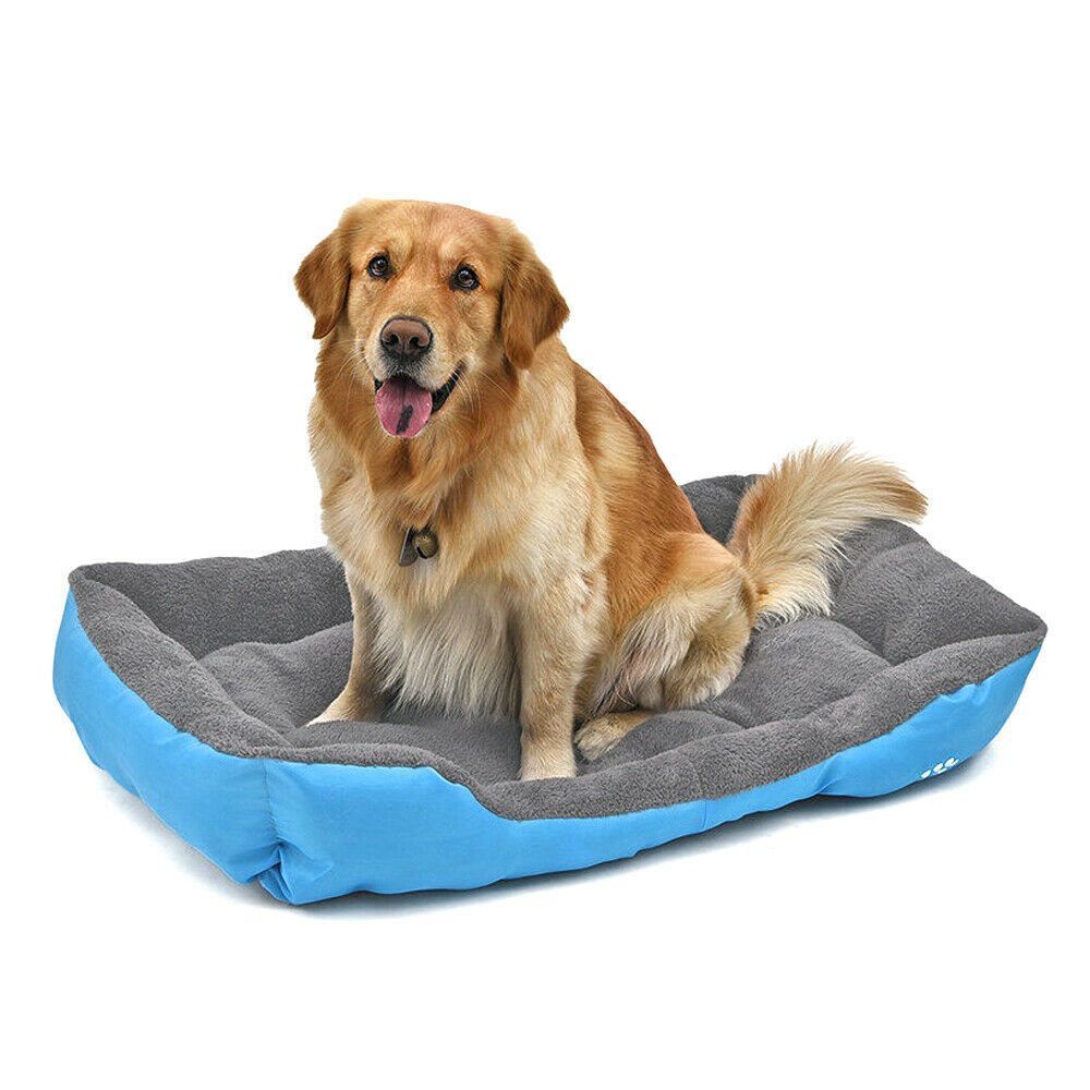 It might be time to consider getting a new cozy bed for your furry friend. Providing a comfortable sleeping spot is essential for your pet's overall well-being. spot for relaxation 

anytimewags.com/products/view/… 

#dogproducts #dogsofinstagram #dogs #dog #doglovers #dogaccessories