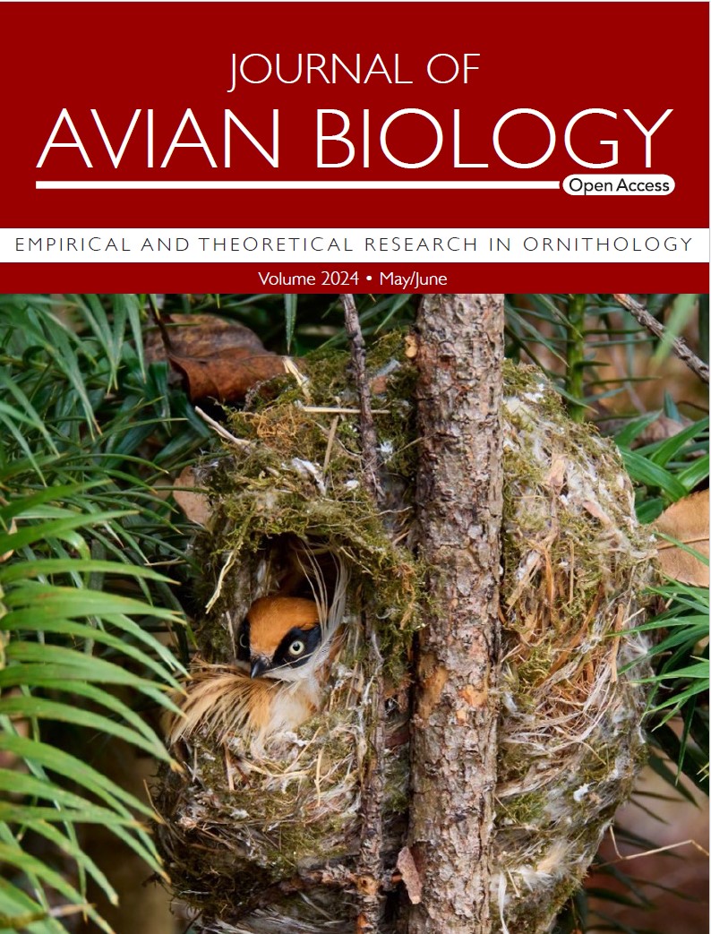NEW ISSUE OUT! The cover shows a black-throated-tit incubating eggs in the nest and features the article by Hu et al: nsojournals.onlinelibrary.wiley.com/doi/10.1111/ja…. Photo by Jiayu Zhang. Read the full issue here: vist.ly/34k6y @NordicOikos #ornithology #birds #openaccess