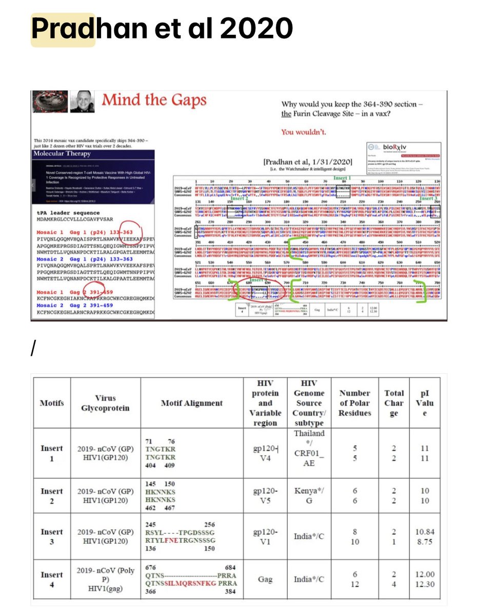 Deshalb Leute ist für mich COV2 🦠 kein simpler Grippe Virus. 
Man hat ihm 4 HIV Sequenzen einprogrammiert. Capice ? 
Beides 🦠 und die toxische modMRNA/LNP 💉 - welche Langzeiteffekte werden sich zeigen ?