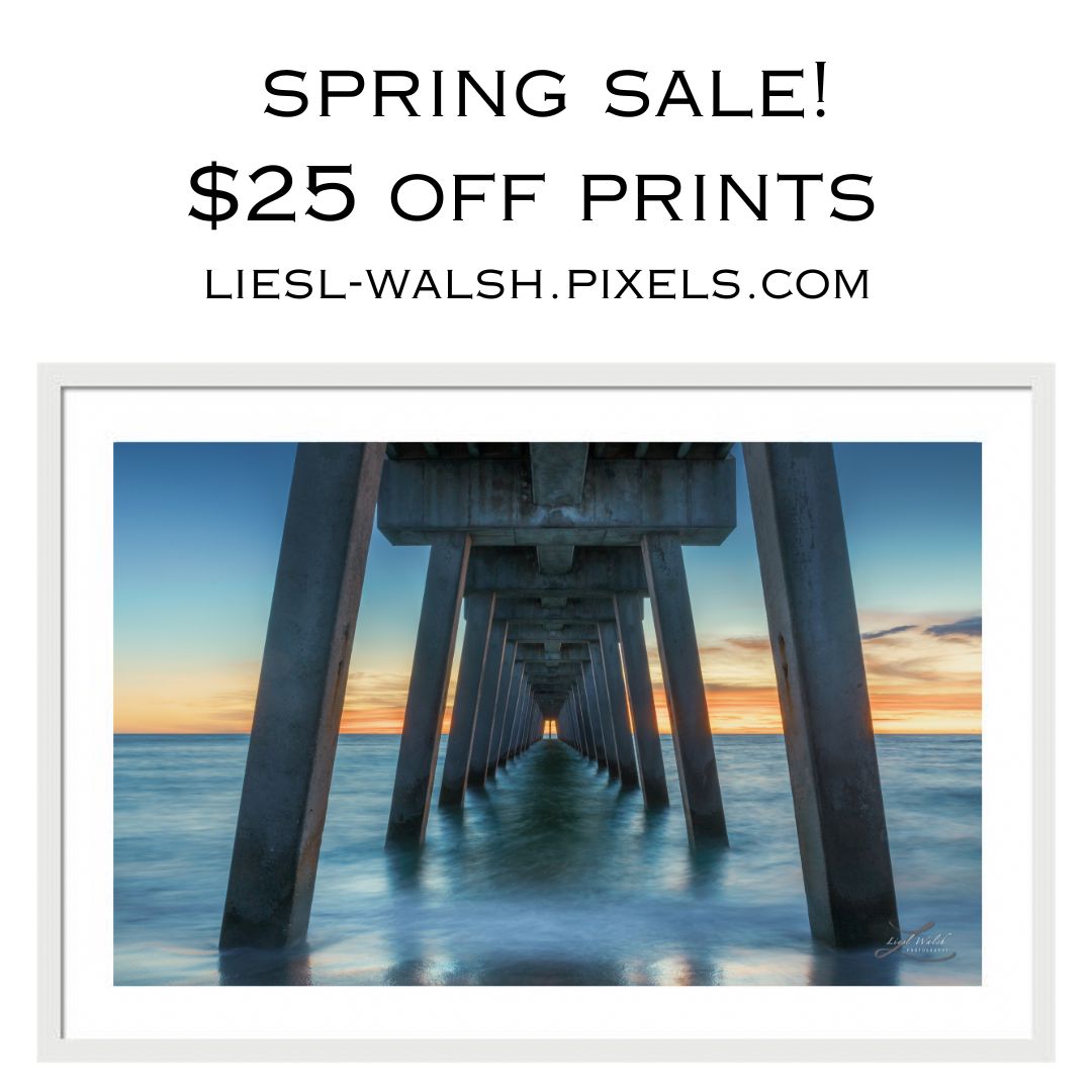 I am having a SPRING SALE!! Get $25 OFF ANY SIZE WALL ART from my site!
Use code PESXCD at checkout:
liesl-walsh.pixels.com

#floridawallart #coastaldecor #veniceflorida #sarasotaflorida #florida #venicefishingpier #beachhousedecor