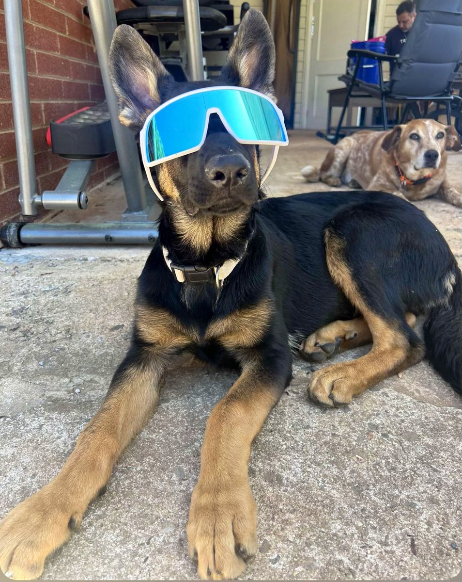 Her future is so bright!

Nelli Benelli