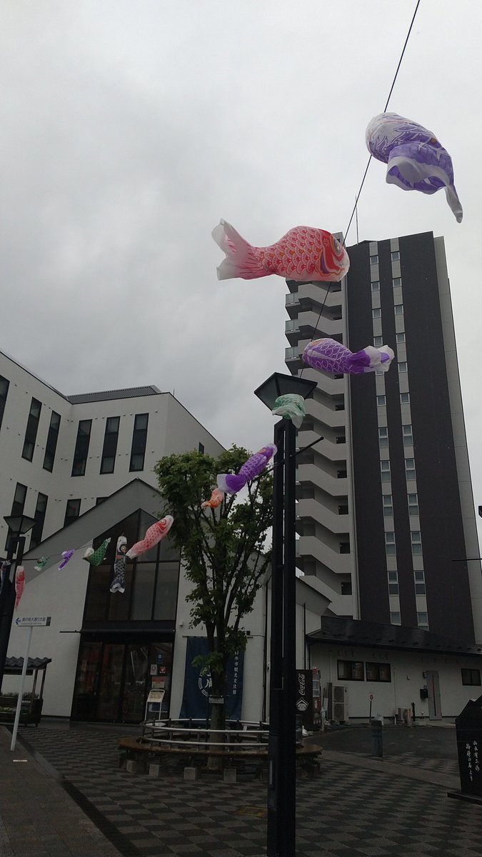 栃木市、栃木駅前の鯉のぼり🎏も雨☔だけど、元気に、泳いでました🎏