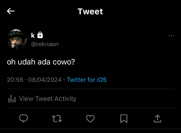 sha. tweet media