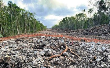 Te dices científica y ambientalista... 

Por que no has alzado la voz por el ecocidio del #trenmaya.

De los peores ecocidios documentados  a nivel mundial!!
Se estima que el daño será irreversible. 
 #ContéstameClaudia @MarioSotomayorG