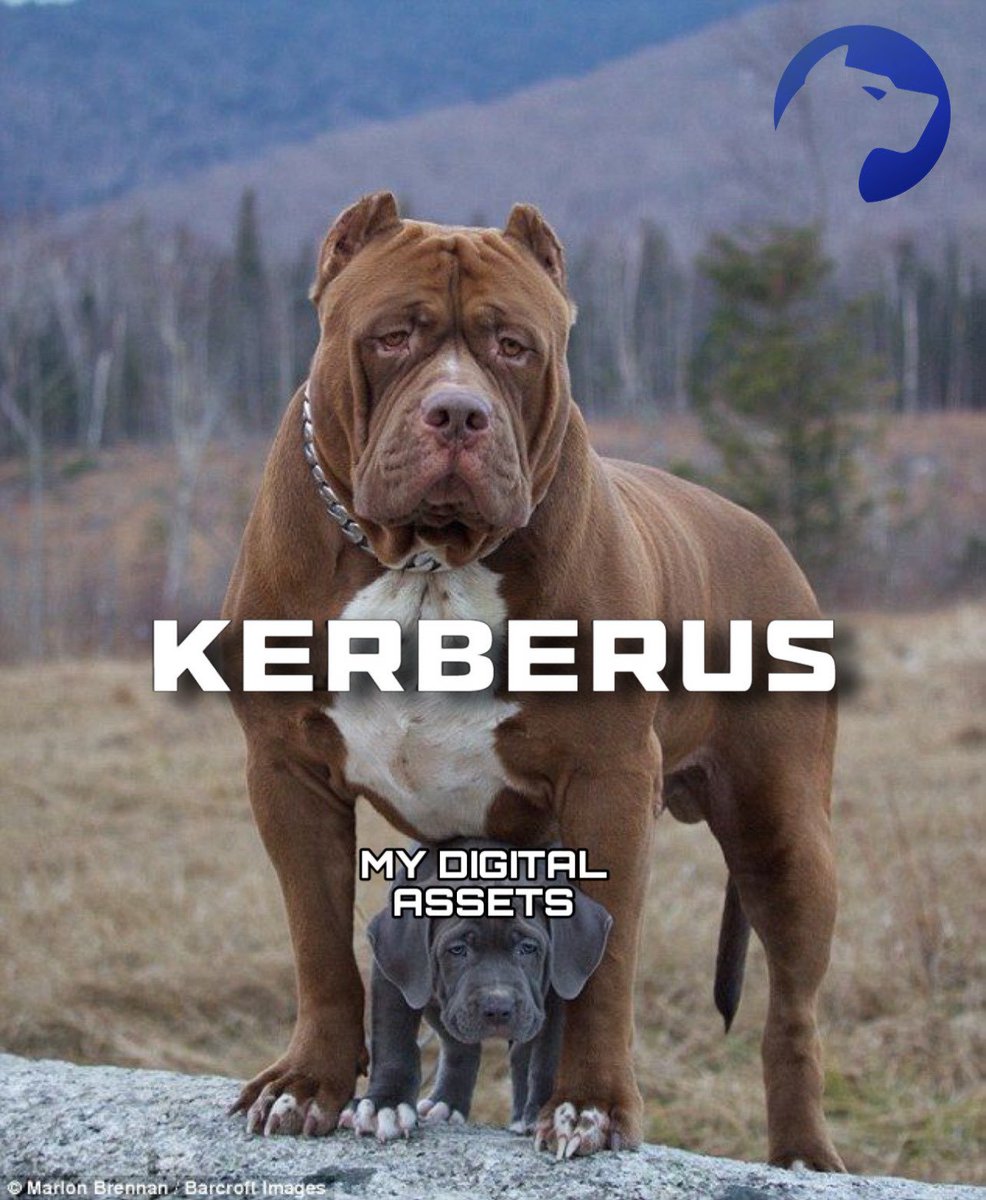 Kerberus Sentinel3 (@Kerberus) on Twitter photo 2024-05-01 03:45:29