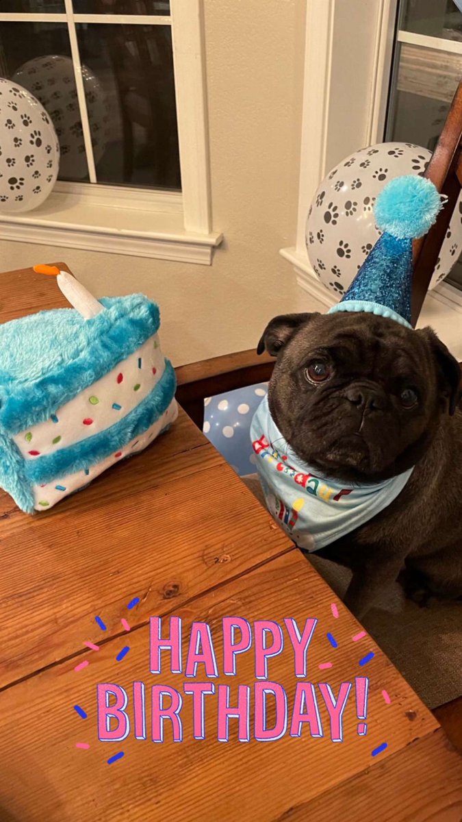 Bohdi had a birthday party and none of his friends showed up ): he’s so sad