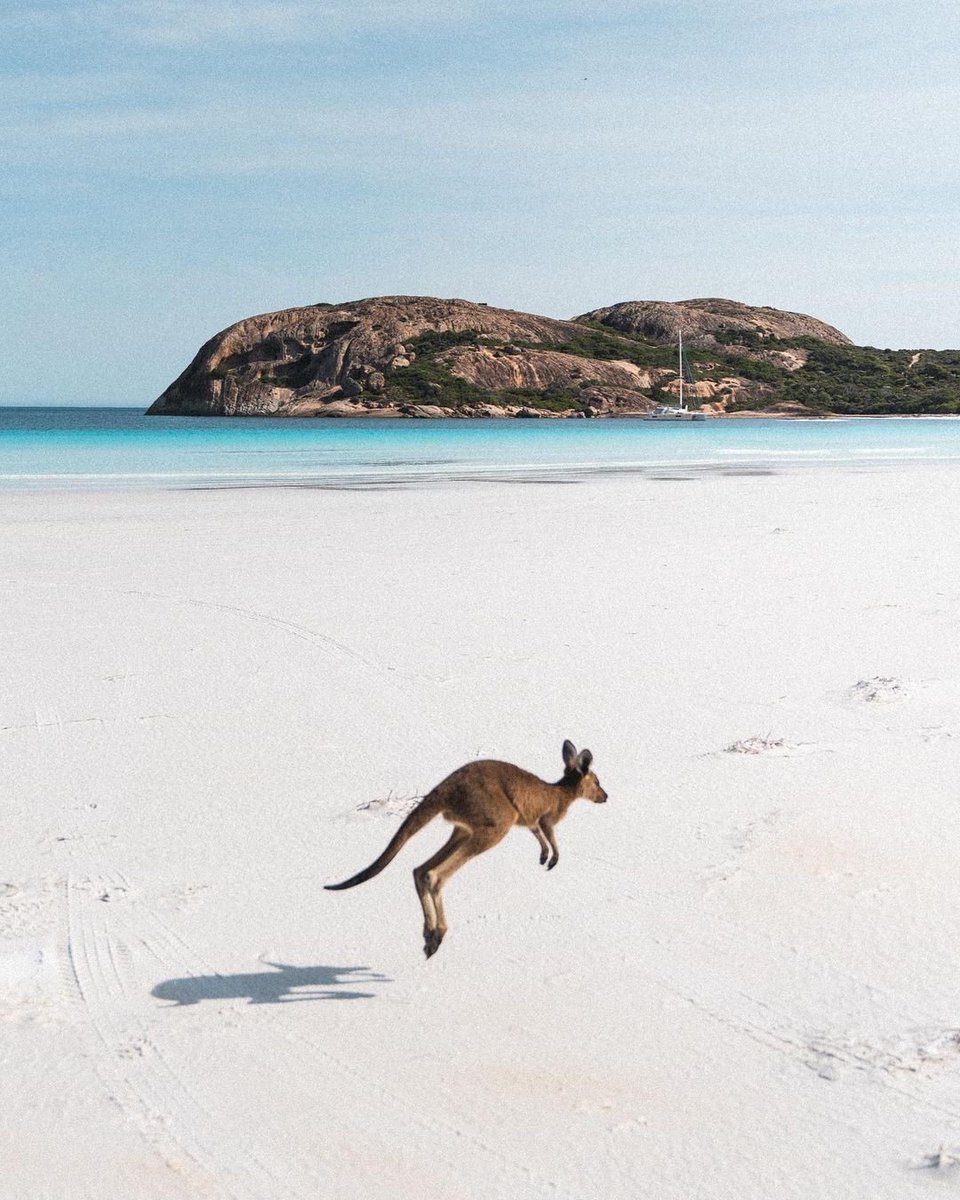 Turquoise Bay #6 & Wharton Beach #33 on #Worlds50BeachesList 🏖️ 🌏 Get dreaming: bit.ly/44l0mac 📍 Turquoise Bay, Ningaloo | Wharton Beach & Lucky Bay, Esperance 📸: @cjmaddock/IG | @2troubletravelers/IG | @daronprice/IG in #WAtheDreamState @CoralCoast @GoldenOutback