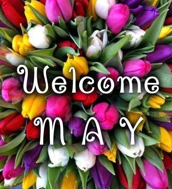 Wednesday Friendly Reminder… Welcome May! 🙋‍♀️🍃🌷 #May1st #HelloMay #NewMonth #MayDay2024