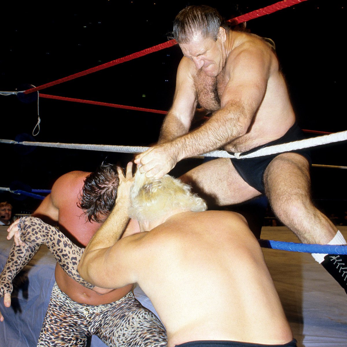 📸 WWF Action Shot! Double Noggin' Knocker! #WWF #WWE #Wrestling #BrunoSammartino