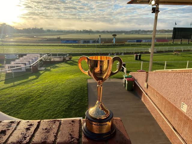Can’t wait for the two major days of the Wagga Cup carnival on Thursday and Friday. The preview for Town Plate day will be on Sky Thoroughbred Central at 4.50pm