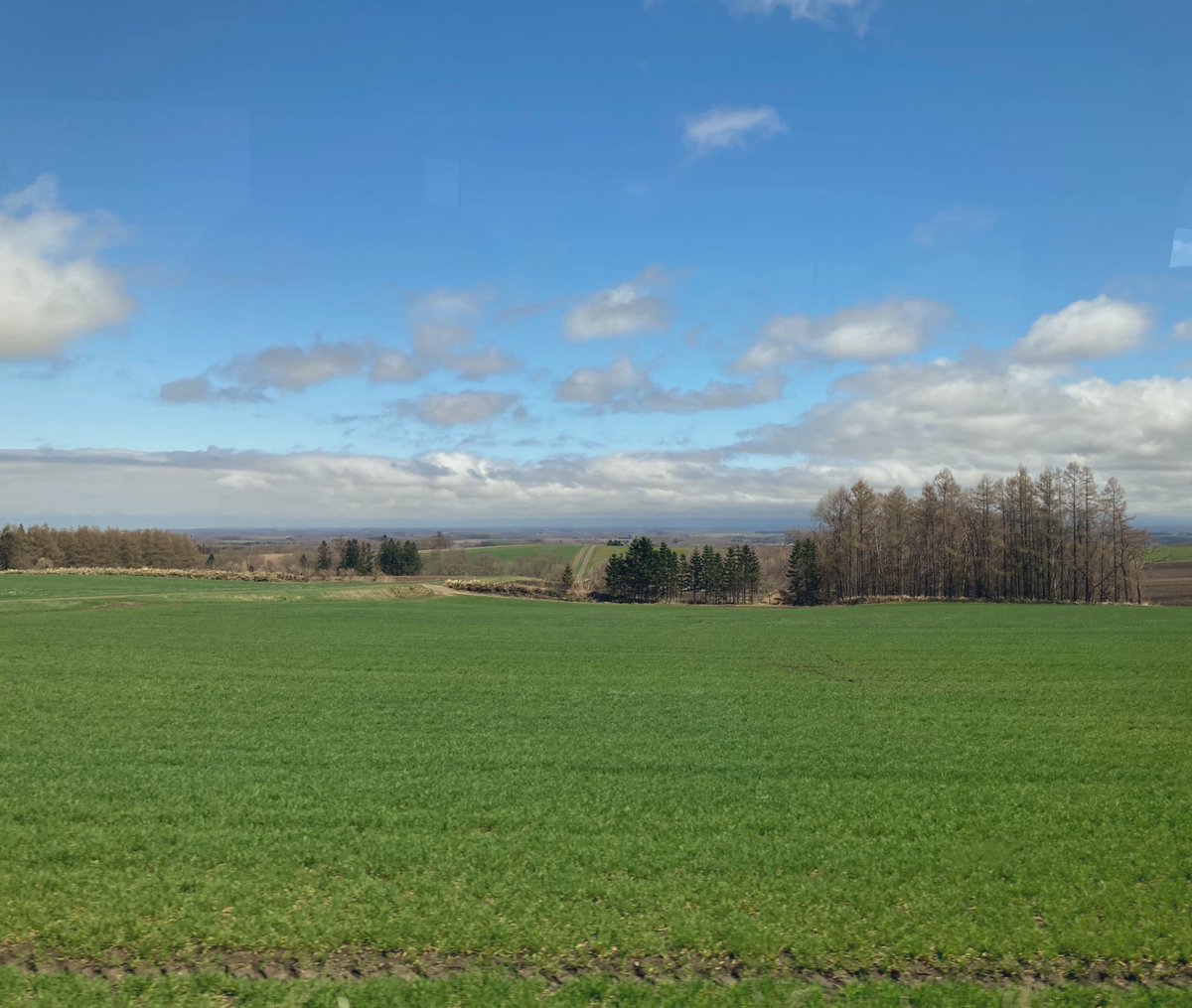 こういうの北海道ぽさあって良いよね。