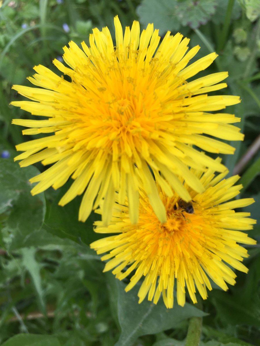 guten Morgen allerseits, heute wünschen wir allen einen schönen Tag 🌞💕