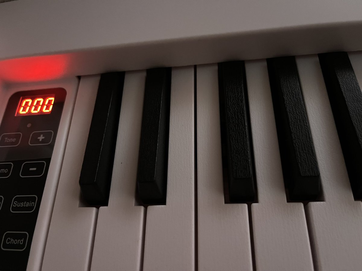 趣味を増やすことは鬱病にいいと聞いてピアノを始めました。