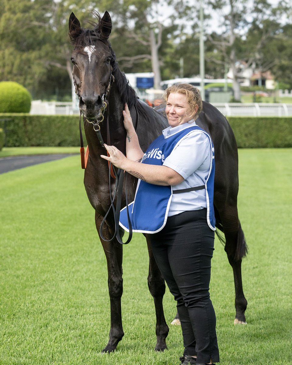 HOLLYWOOD HERO was the hero of Canterbury today with a strong turn of foot to demolish his rivals. A perfect ride from @TommyBerry21 saw the talented son of Sacred Falls cross the line 1.8L in front 🦸‍♂️ Congratulations to the connections 👏