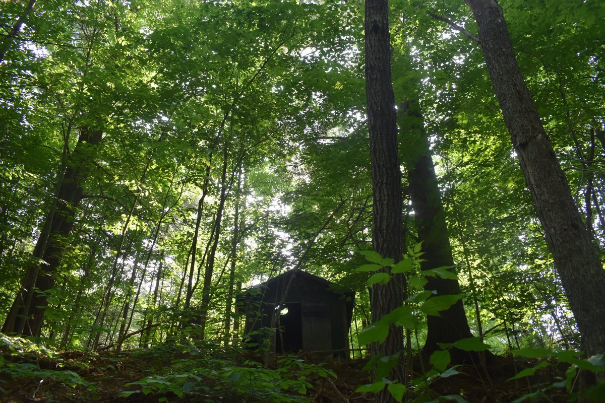 Behind our neighbor (in Ontonagon)'s deteriorating and abandoned childhood home stood a shack overlooking the feeder creek's path in Ontonagon. Despite receiving permission, I never ventured up into the shack. Why would I when the view was so nice from below?