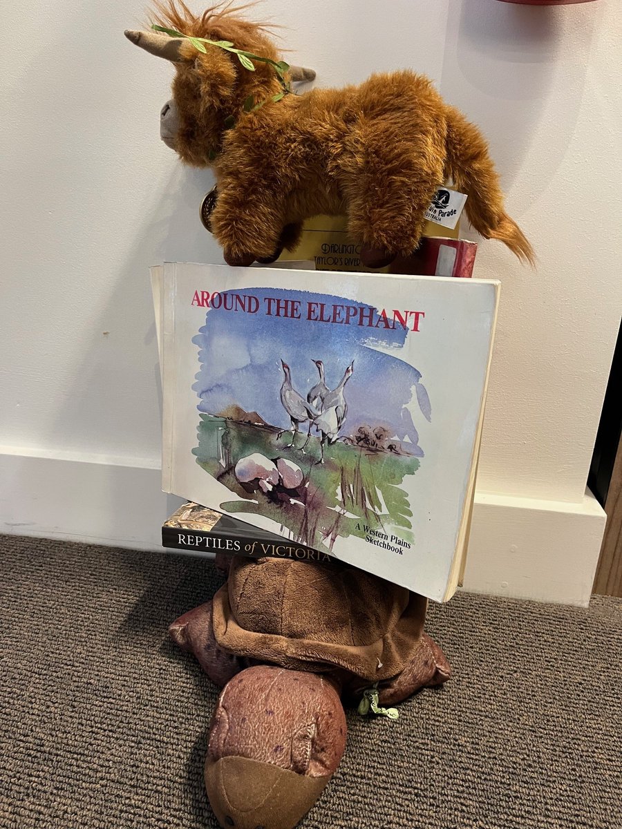 It was Terry Pratchett day last week and Clementine has constructed her own version of Discworld in tribute
#PMiVicHistoryLibrary #ClementineAdventures #TerryPratchett #Discworld #Bookstagram #LibraryCollections