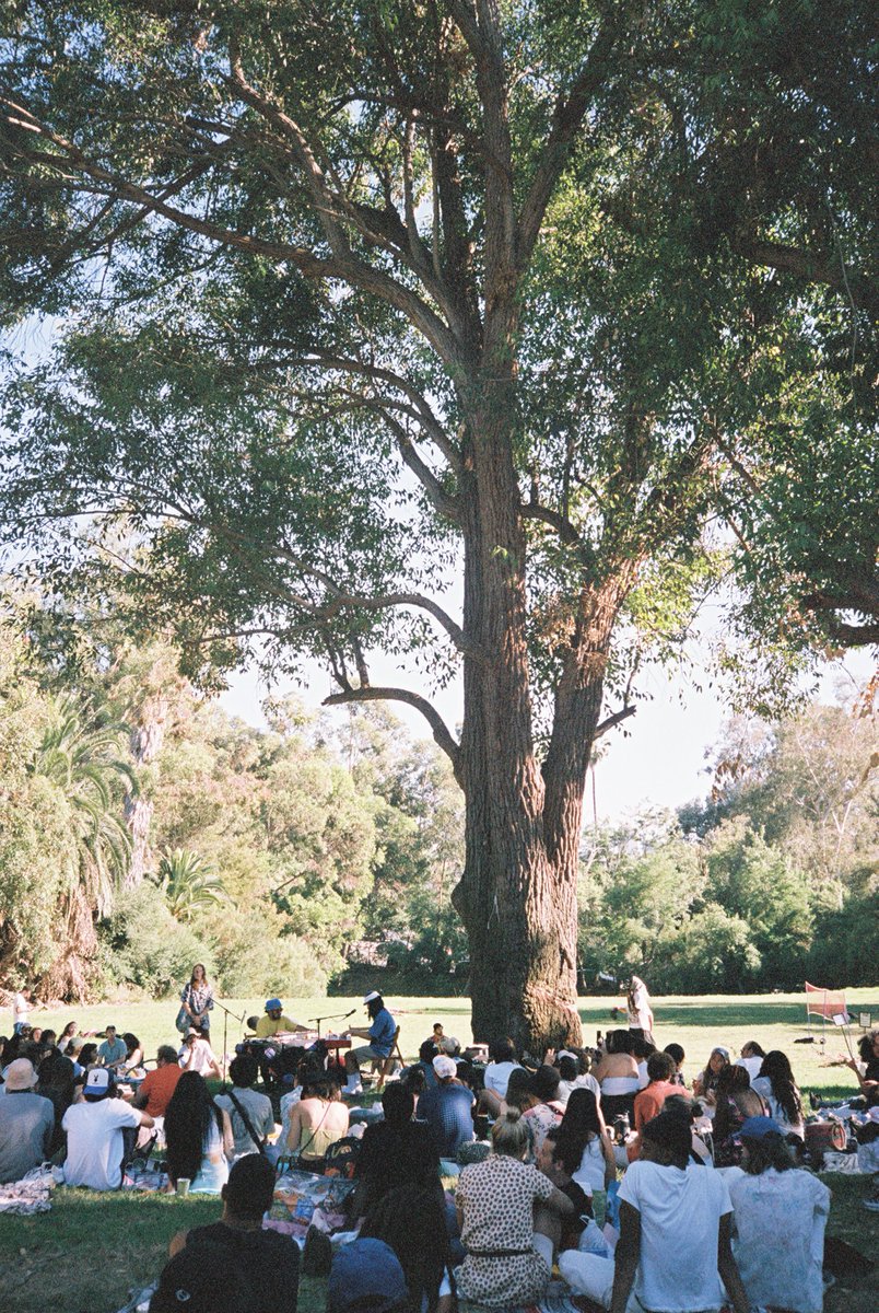 ロサンゼルス発！野外音楽イベント「UNDER A TREE」を金沢21世紀美術館の芝生広場で日本初開催！ 📆5/11(土) 料金：入場無料、ドネーション制 出演者：マシュー・デイヴィッド、田村文岳、J・フェルスター / N・クレーマー、ASUNA kanazawa21.jp/data_list.php?…