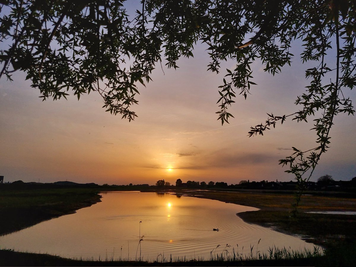 Onder een boom van het zonnetje genieten. Fijne woensdag😀 #natuur #landschap #lente #Rhenen #ElstUt #Elsterbuitenwaard #zonsondergang #mooieluchten