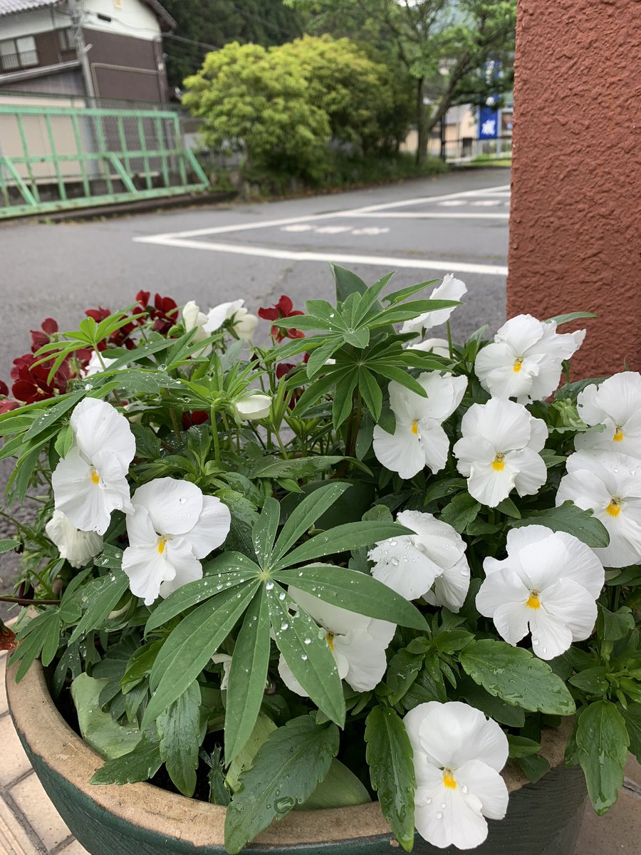 おはようございます😃
月初はバタバタして出遅れました。
その昔メーデーって休みじゃなかったっけ？
ふとそんなことを思いながら今月もよろしくお願いします🤗
#企業公式がお疲れさまを言い合う 
#企業公式さんと繋がりたい 
#企業公式つぶやき部