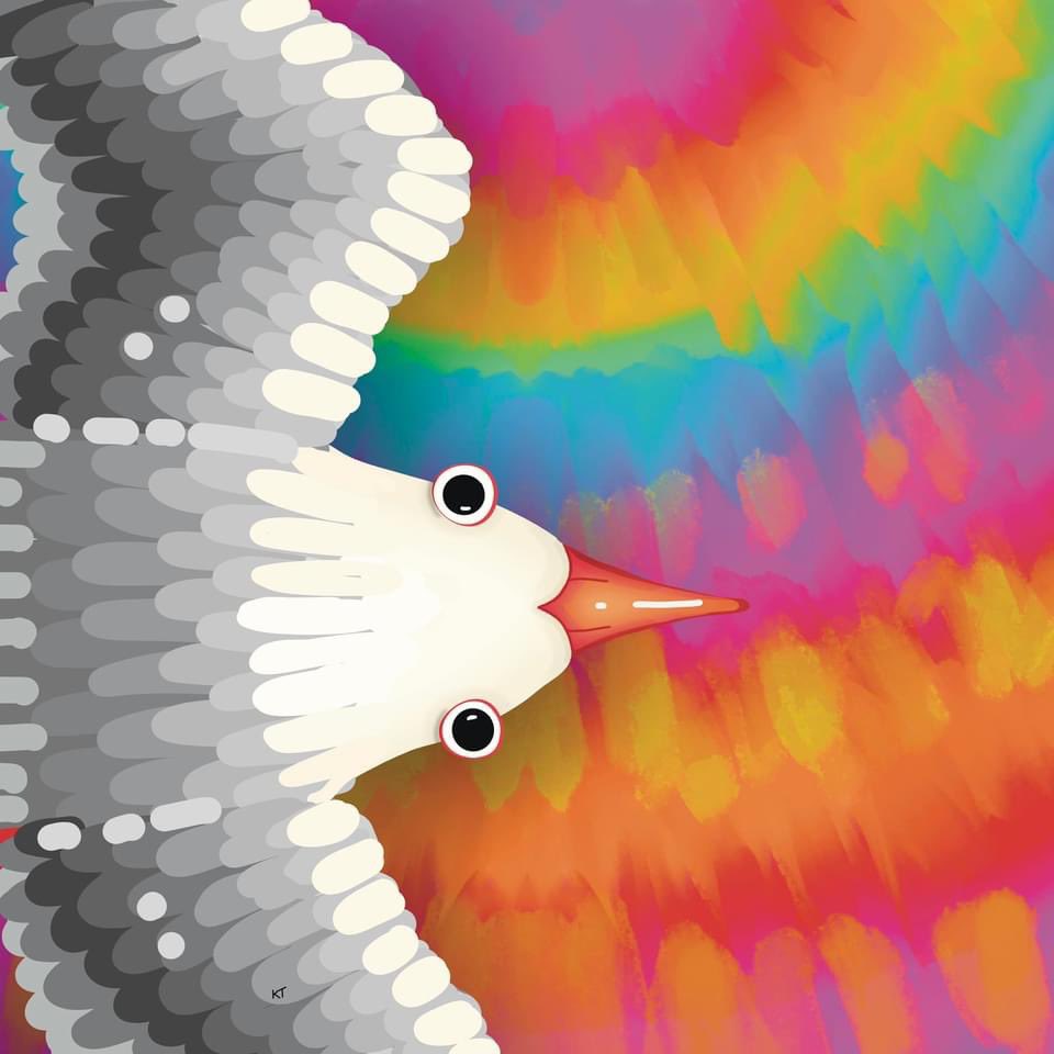 Rainbow #Pelican print karin.redbubble.com also Rainbow #Magpie print redbubble.com/shop/ap/160718… &amp; Rainbow #Seagull print redbubble.com/shop/ap/160812… #RBandME #birds #birdprints #birdposters #pelicanprint #pelicanpainting #seagullprint #seagullpainting #magpieprint #magpiepainting