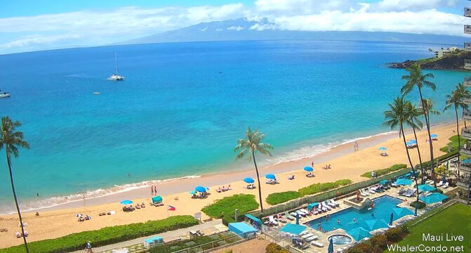 Kaanapali Beach in Maui, Hawaii🏖️

Watch it live here:
liveworldwebcams.com/kaanapali-beac…

#Hawaii #beachlife #beachday