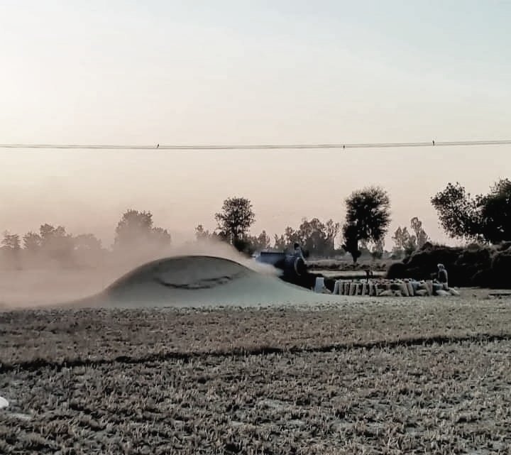کنکاں پِچھے جنّت تیری چھڈ دِتّی
فیر اساں پنجاب وسایا وے ربّا