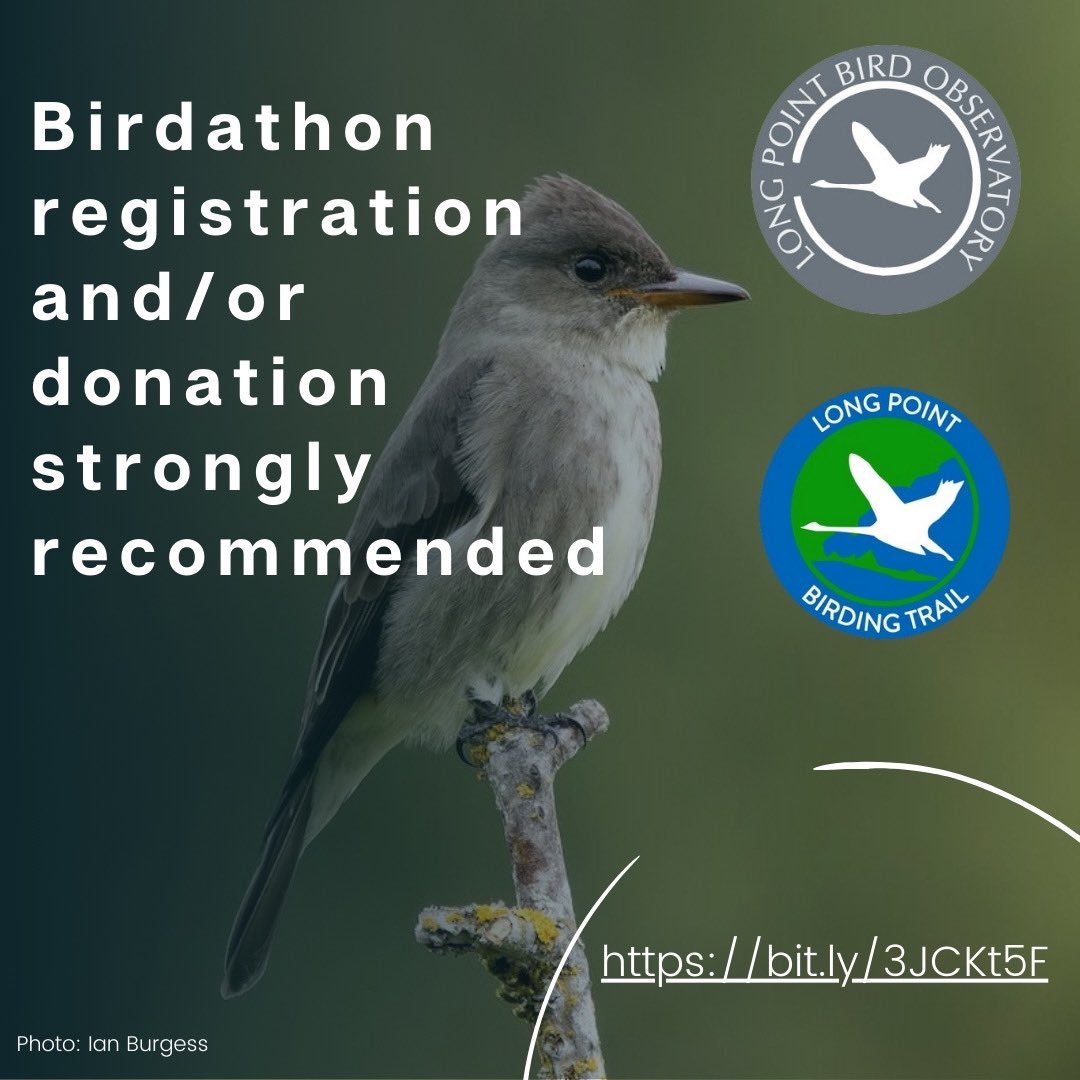 Join us for the LPBO #BIRDATHON Weekend May 18! Sign up to do a Birdathon, come birding! Sign up here - bit.ly/3JCKt5F @BirdsCanada #longpoint #birds