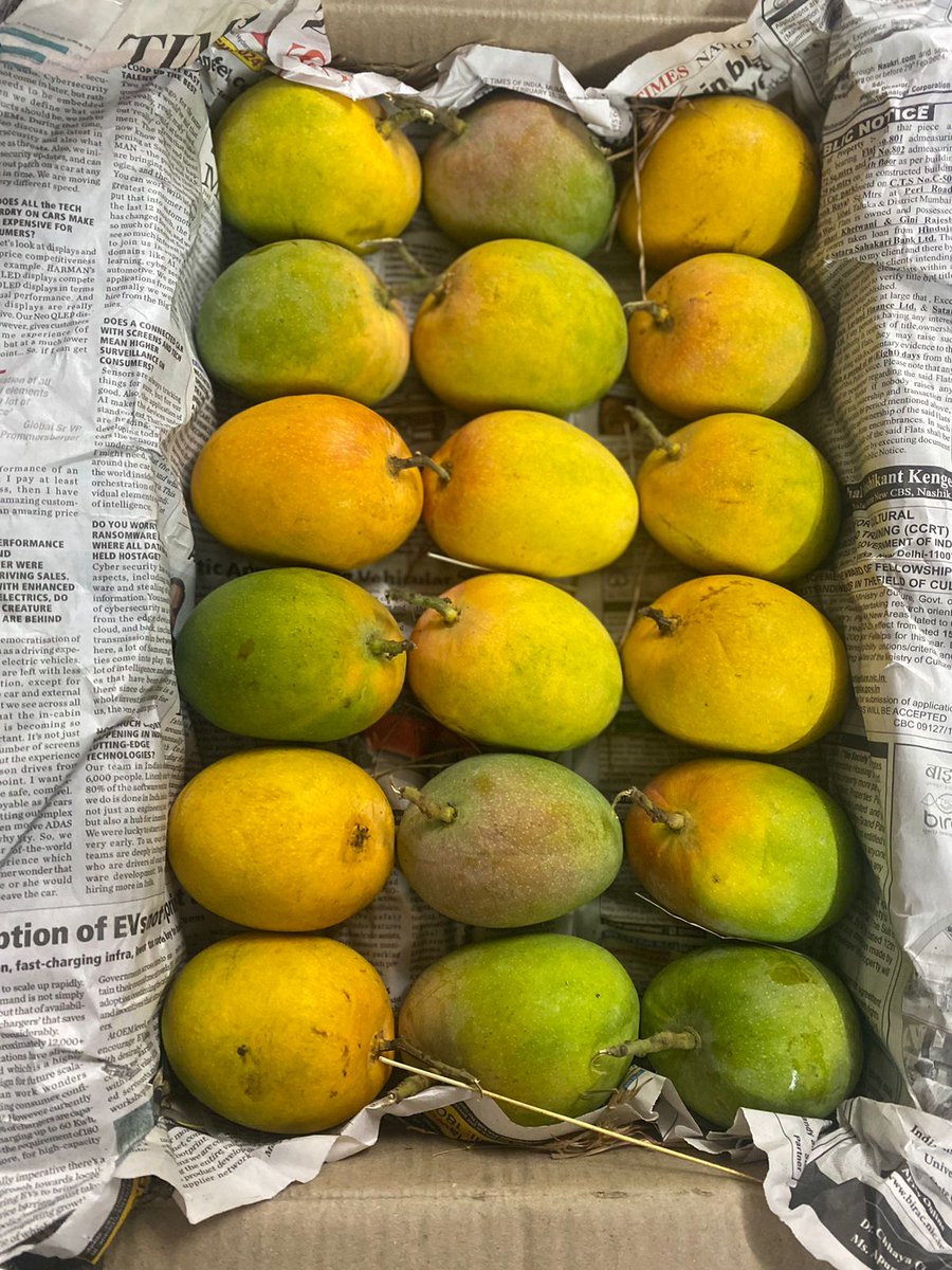 Indulge in the Delight of Kokan Shriwardhan Alphonso Mangoes!

Read Full News: bit.ly/3JJwVW2

#AlphonsoMangoes #CarbideFree #FarmFresh #FarmToFork #IndulgeInMangoes #KokanShriwardhan #MangoDelight #RetailExperience #WholesaleMangoes