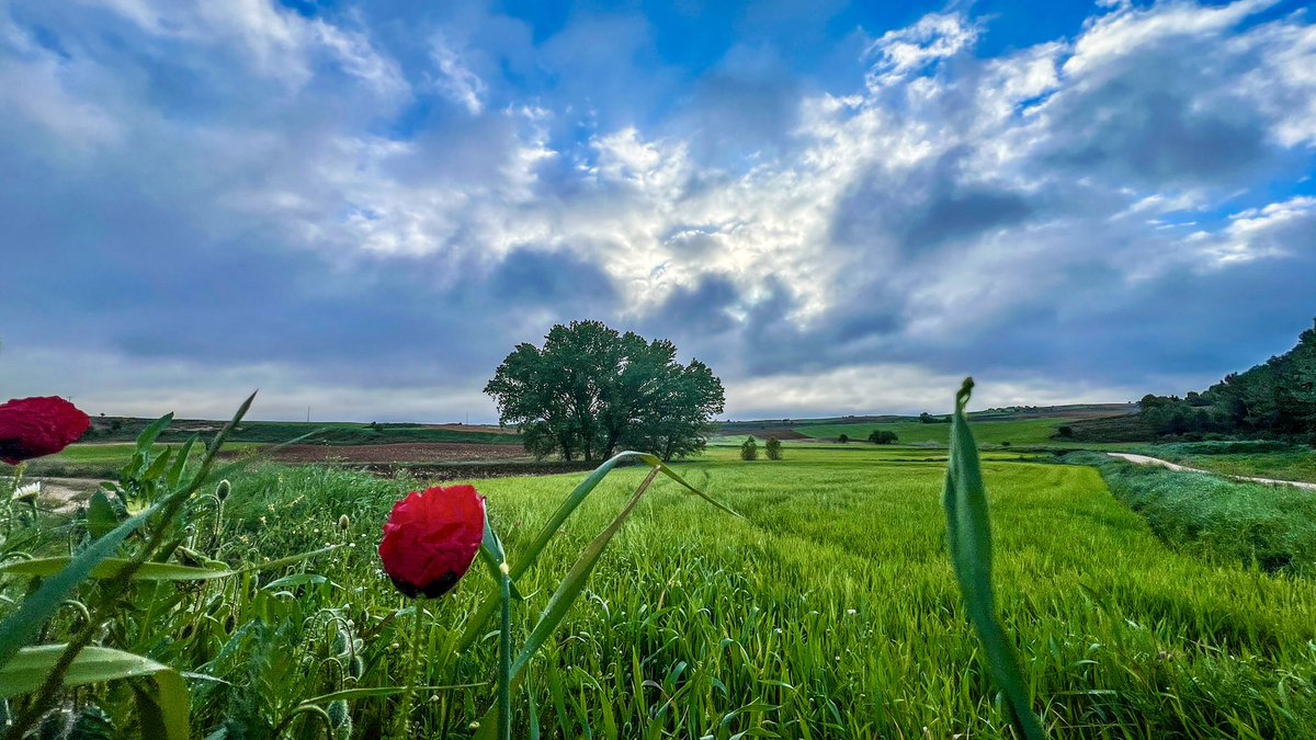 Primer amanecer de mayo desde #CarrascosaDelCampo #CastillaLaMancha #ColaboradoresDelTiempo 1/5/24 @HimarGonzalez