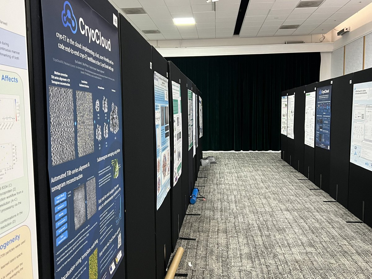 We are excited to be presenting 2 posters at the #ccpem symposium today - one on #cryoET, and one on our #SPA workflows. Come by to posters 49 & 25 if you want to know more 🤓 Also, even though you made a dent there are still plenty of stroopwaffels at our booth!🍪 #cryoEM