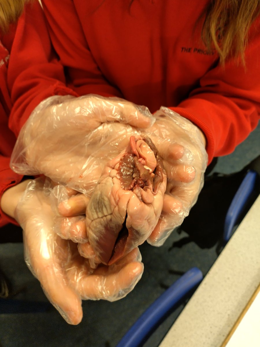 TPS_Science tweet media